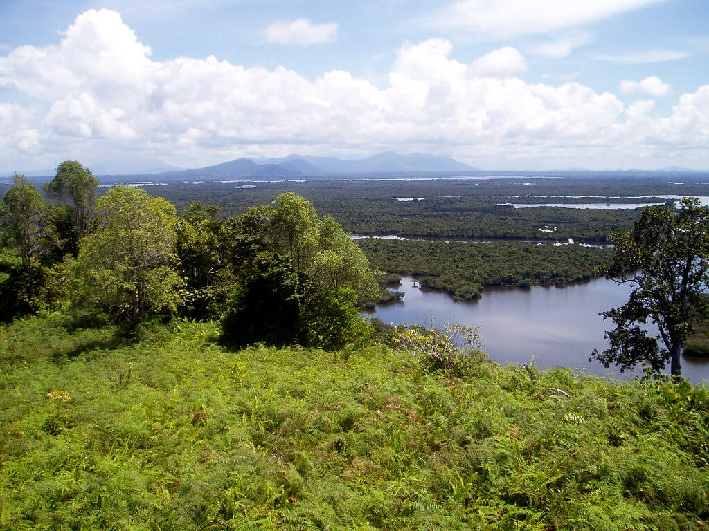 Danau Sentarum National Park : 