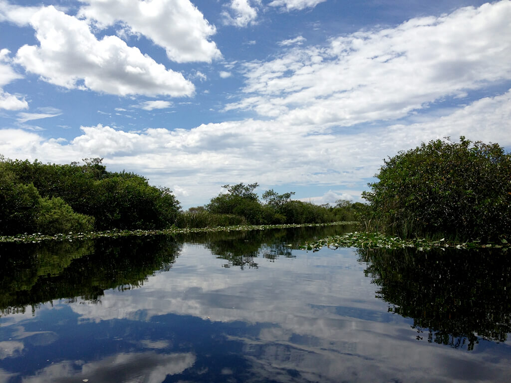 Everglades National Park :  Everglades National Park :