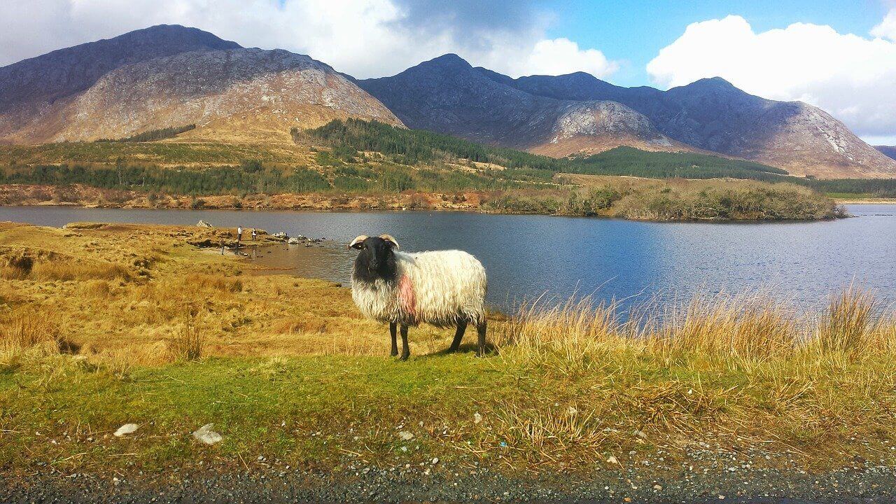 Irland: Le parc national du Connemara