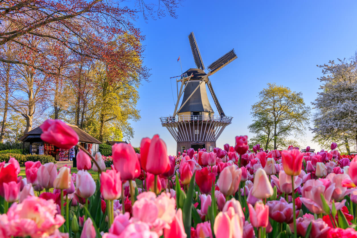 Keukenhof (Stationsweg) : Keukenhof (Stationsweg) :