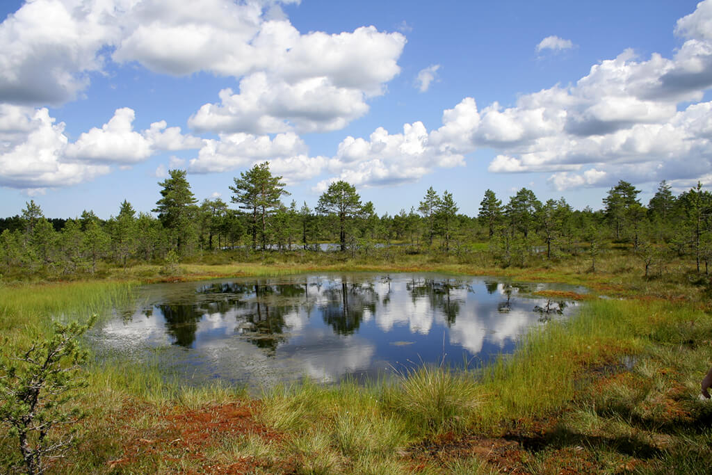Lahemaa Nationalpark : Lahemaa Nationalpark :