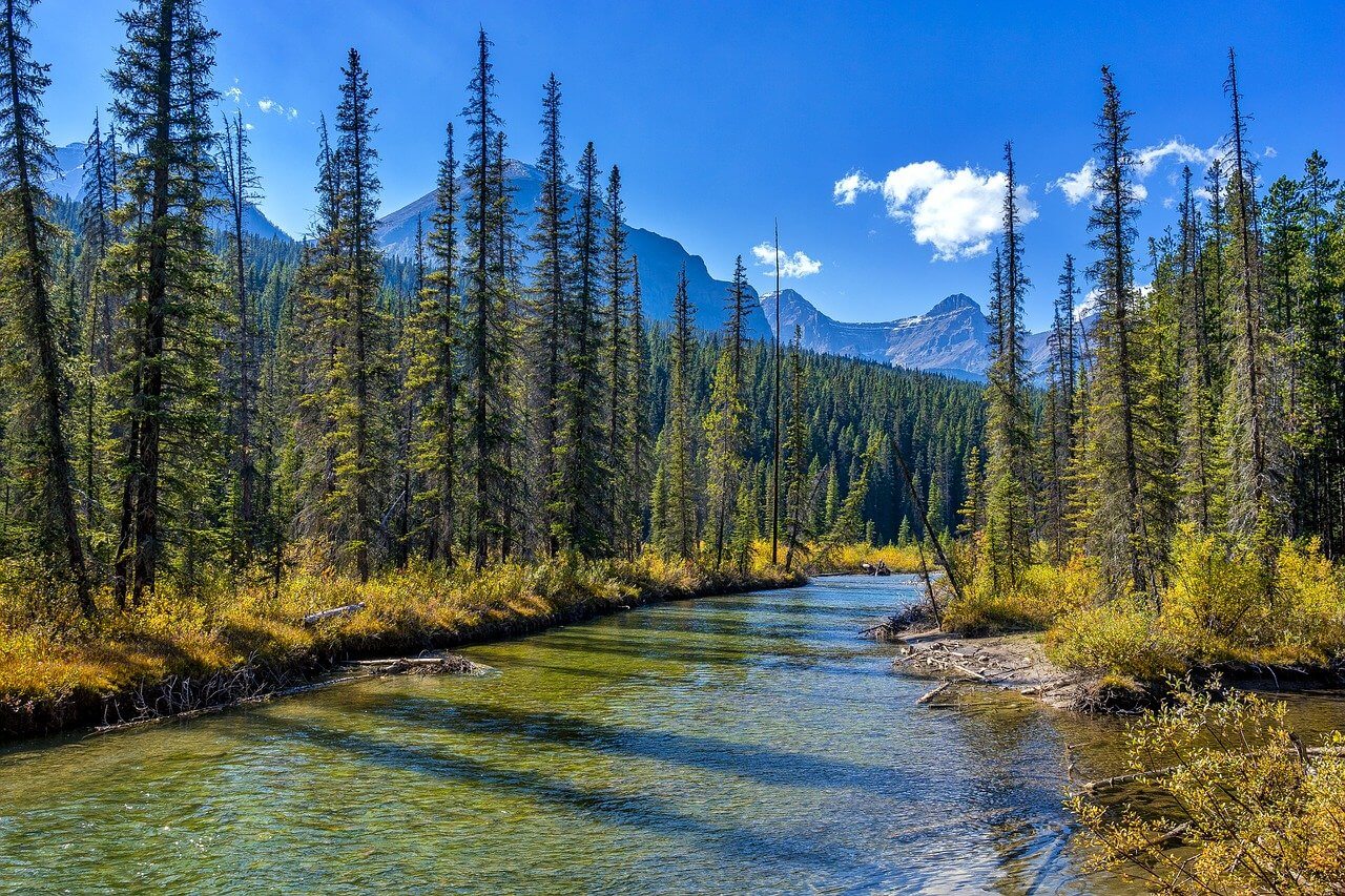 Jasper National Park : Le parc national de Jasper Jasper National Park : Le parc national de Jasper