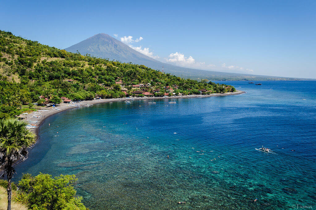 Amed : Amed Amed : Amed