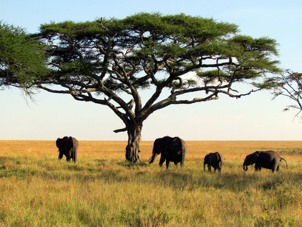 Nationalparken Övre Niger : Nationalparken Övre Niger :