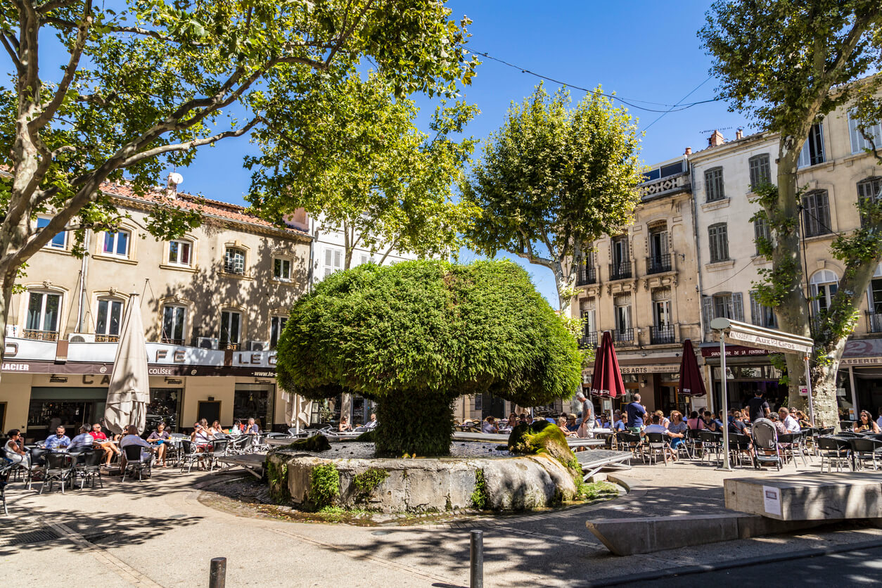 Salon-de-Provence : 