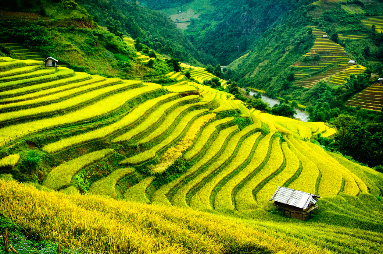 Sapa (Norra Vietnam) : Mu Cang Chai, Sapa Sapa (Norra Vietnam) : Mu Cang Chai, Sapa