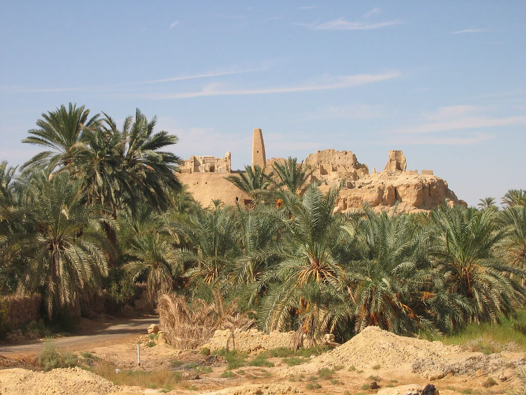 Siwa :  Siwa :