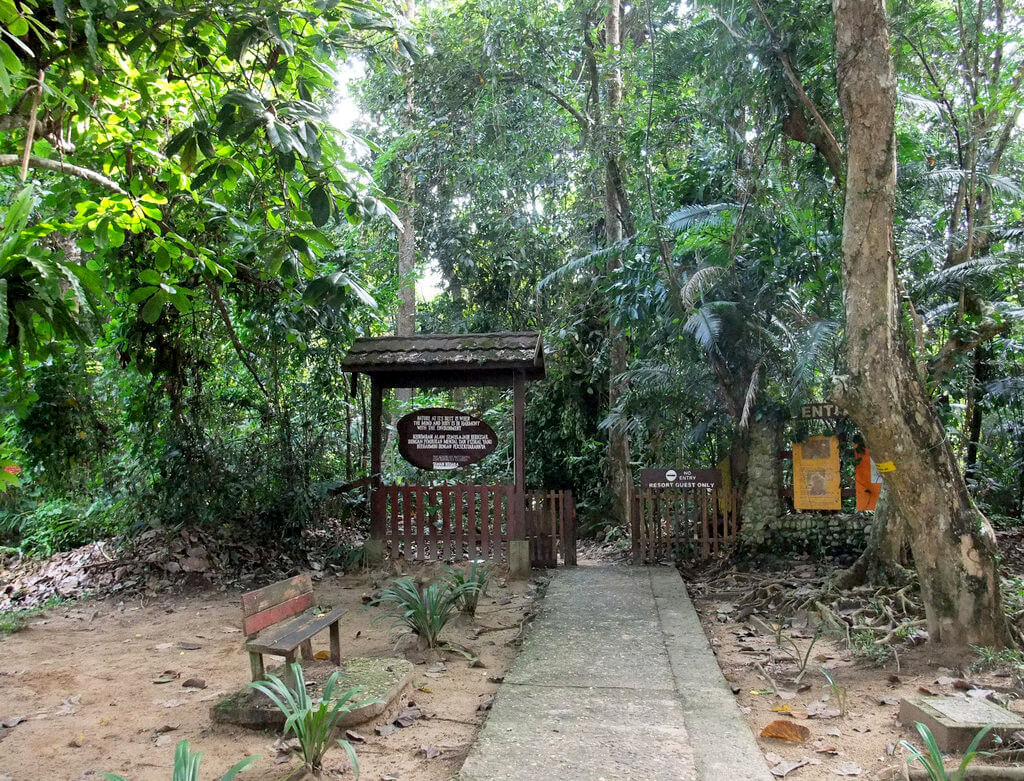 Taman Negara national park : 