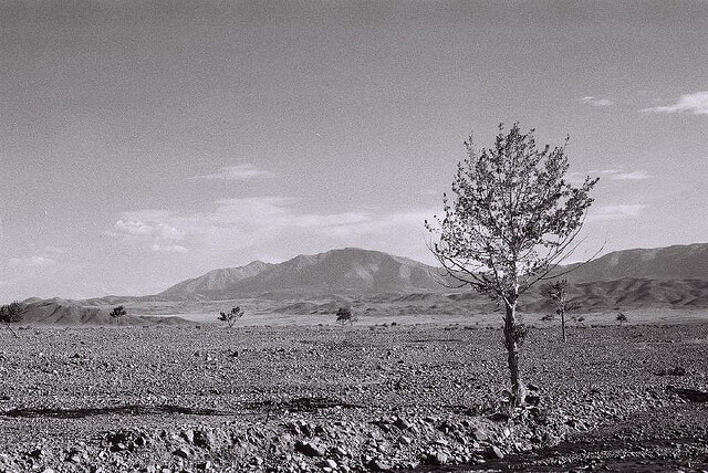 Ulaangom : Ulaangom :