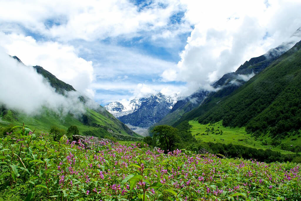 Valley of Flowers National Park (Uttrakhand) : Valley of Flowers National Park (Uttrakhand) :